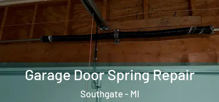  Garage Door Spring Repair Southgate - MI