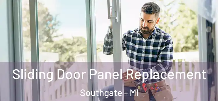  Sliding Door Panel Replacement Southgate - MI